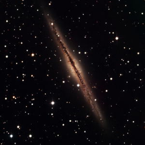 NGC 891 by Tom Schmidtkunz 