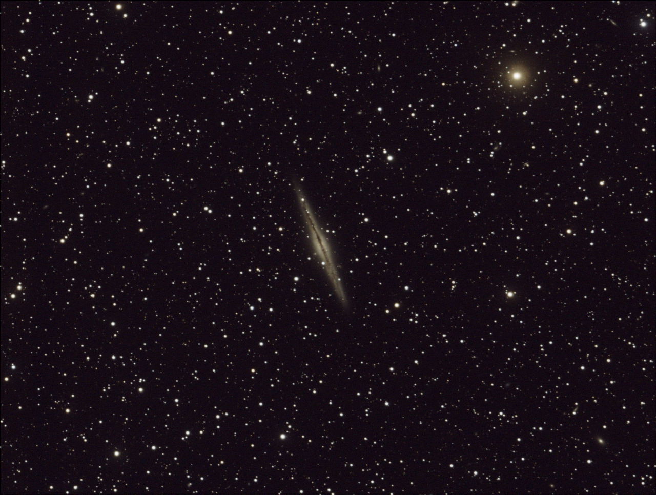 NGC 891 by Tom Schmidtkunz 