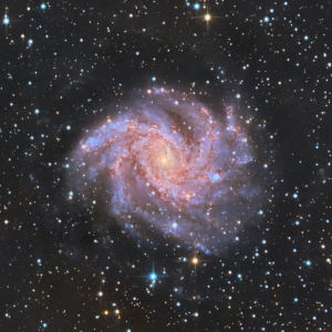 NGC 6946 - The Fireworks Galaxy by Chad Andrist 