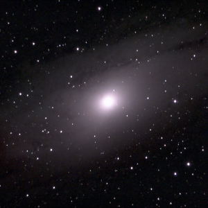 Andromeda Galaxy by Dhruva Kalyani 
