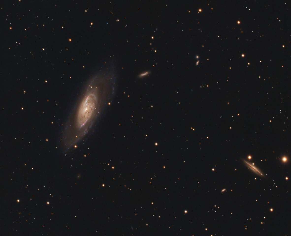 M106 and friends by Gabe Shaughnessy 