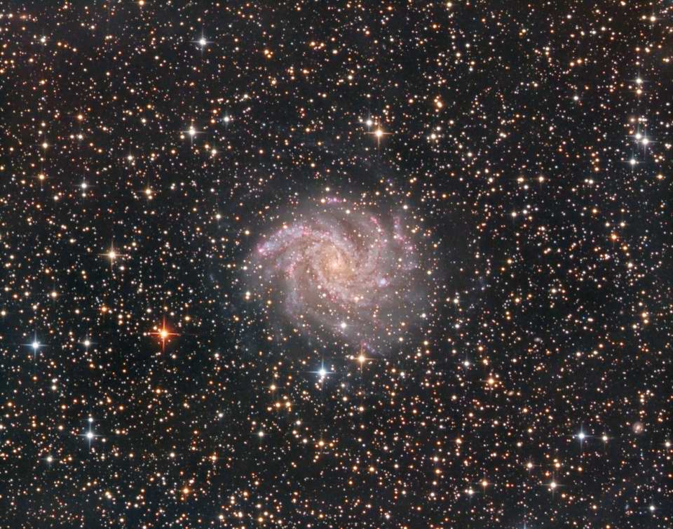 NGC 6946 - Fireworks Galaxy by Gabe Shaughnessy 
