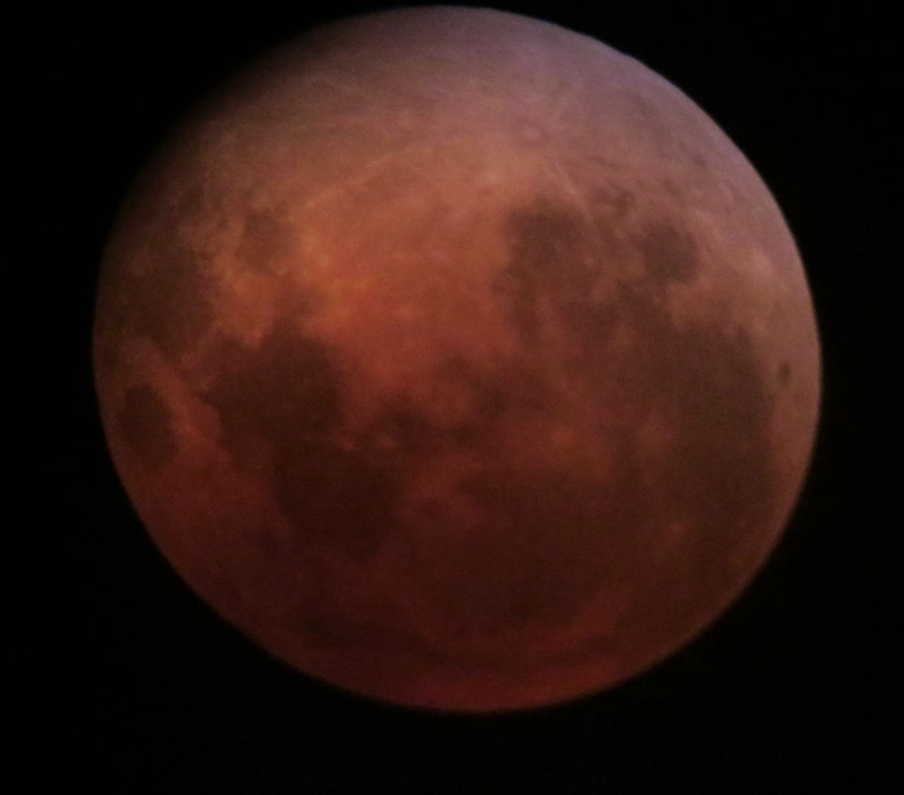 Total Lunar Eclipse by Neil Stickel 