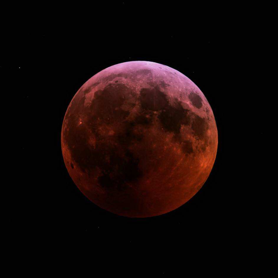 Total Lunar Eclipse by Paul Borchardt 