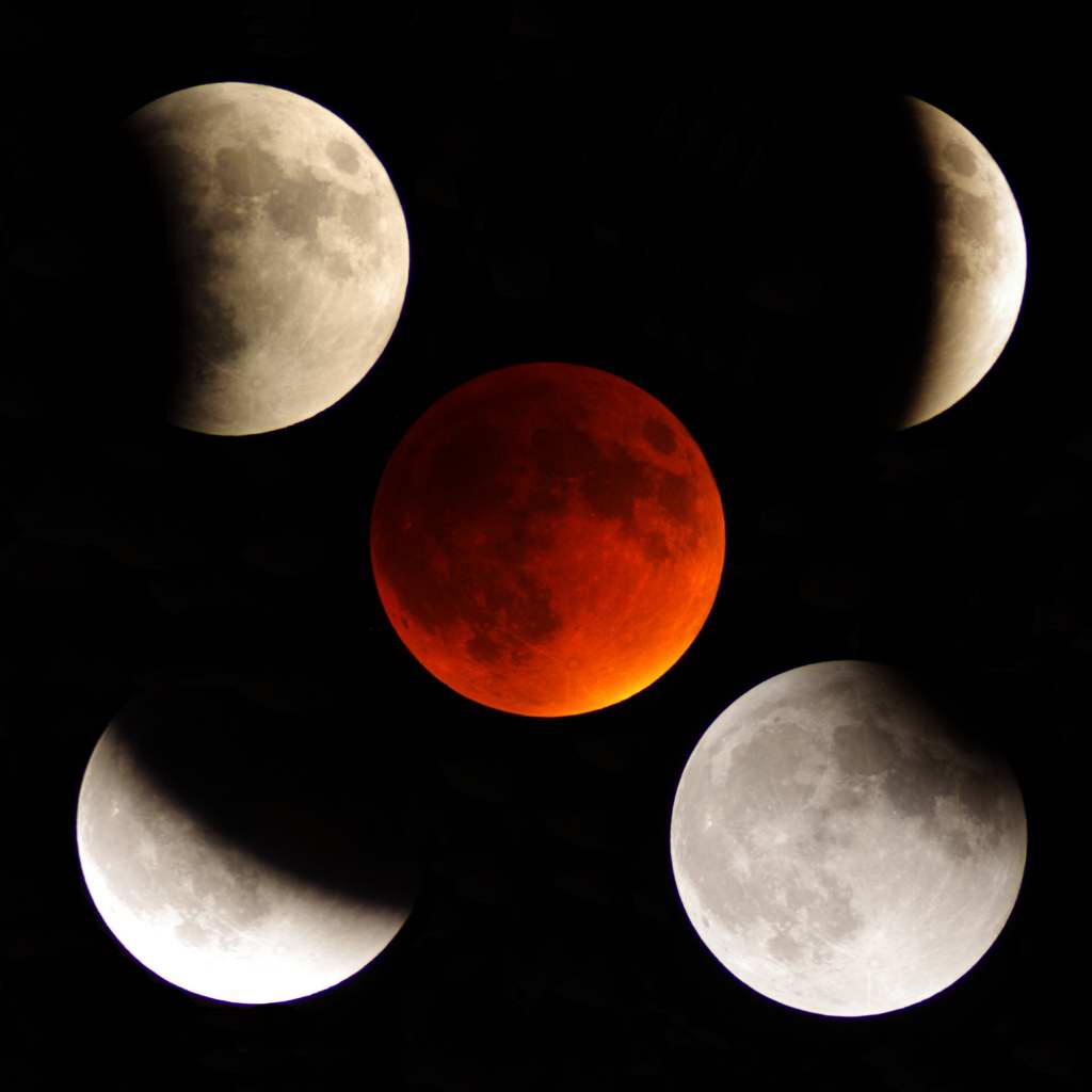 Total Lunar Eclipse - 5 views  by Paul Borchardt 