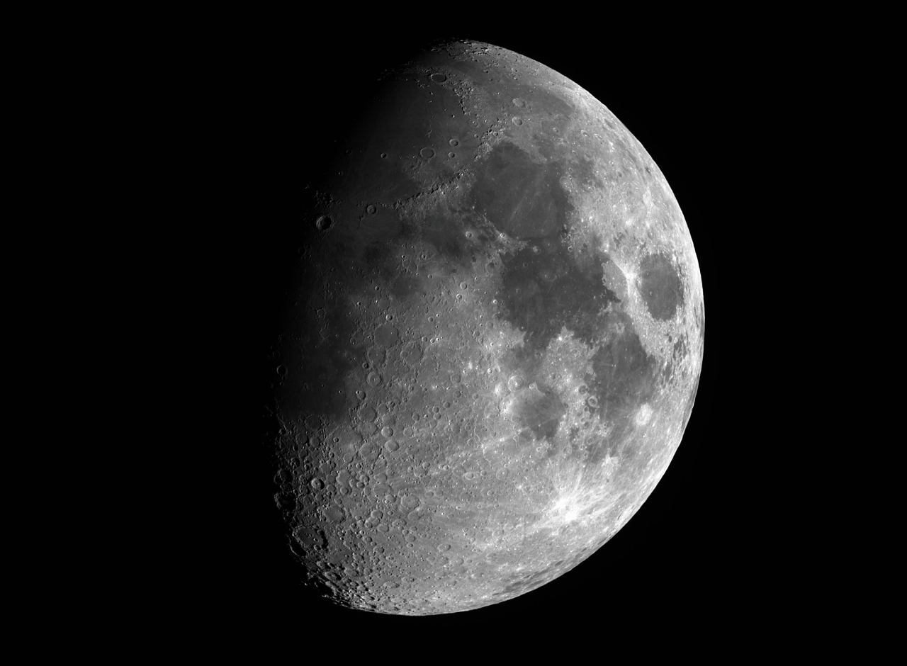 Moon  by Dennis Roscoe 