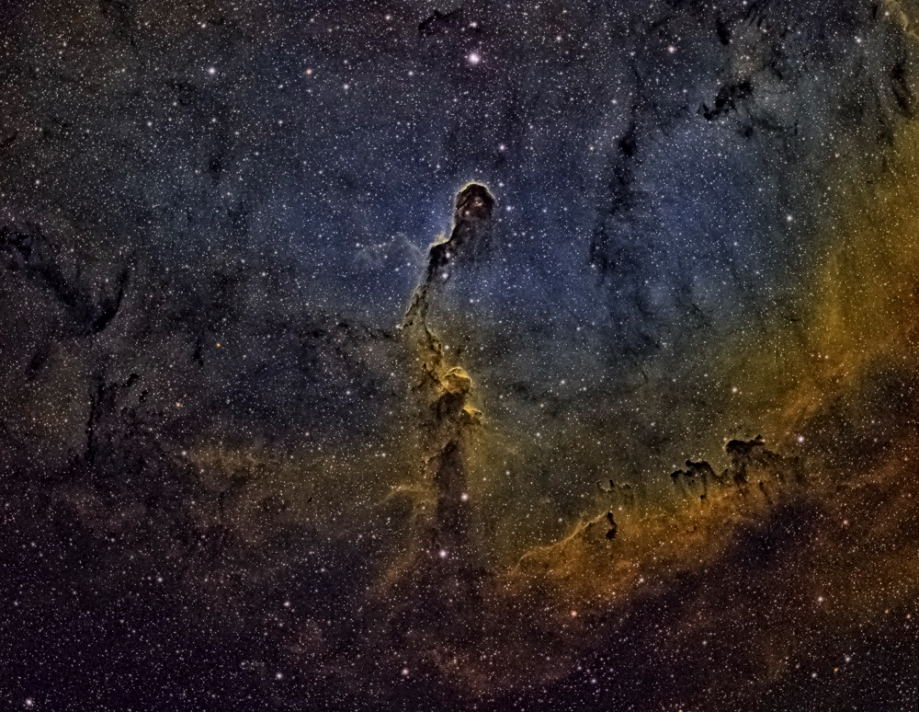 IC1396 - Elephant's Trunk Nebula by Chad Andrist 