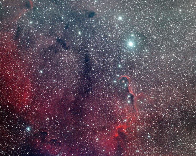 IC1396 - Elephant's Trunk Nebula by Paul Borchardt 