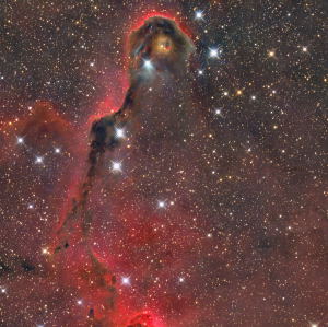 IC 1396 The Elephant Trunk Nebula by Chad Andrist 