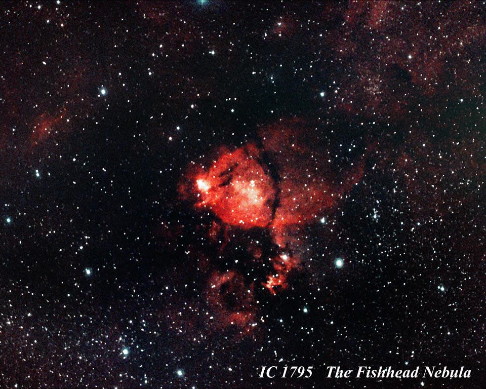 IC 1795 - Fish Head Nebula by Paul Borchardt 