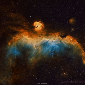 The Seagull (IC 2177) in SHO