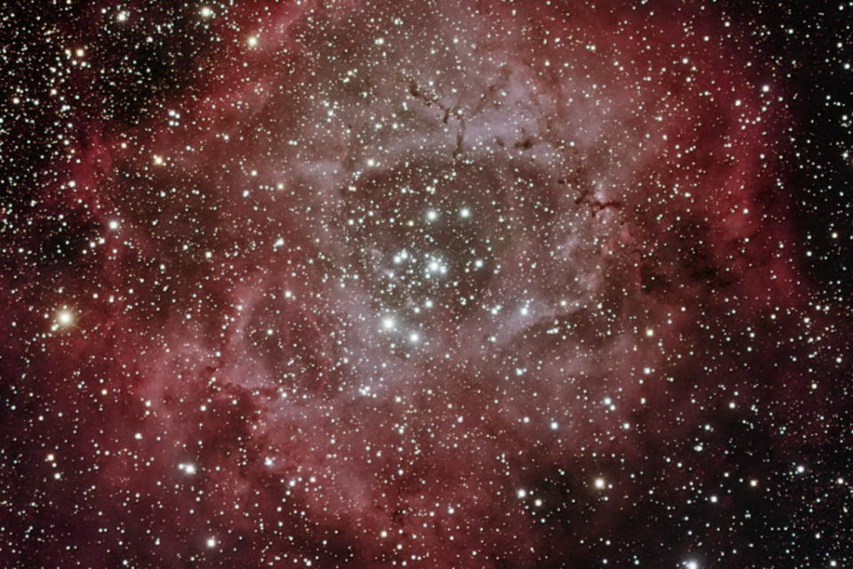 Rosette Nebula by Tom Schmidtkunz 