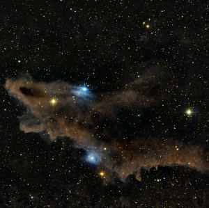 LDN 1235/The Dark Shark Nebula by Jim Nelson 
