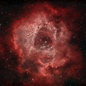 Rosette Nebula, 6.3hr integration, Bortle 8 by Matthew Ryno 