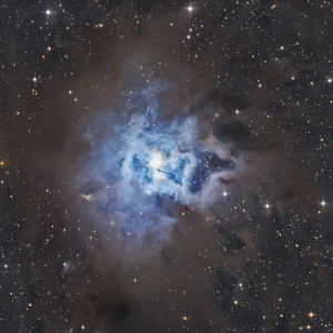 NGC 7023 - Iris Nebula by Chad Andrist 