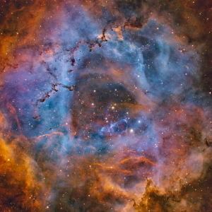 Rosette (NGC2244) in SHO by Chad Andrist 