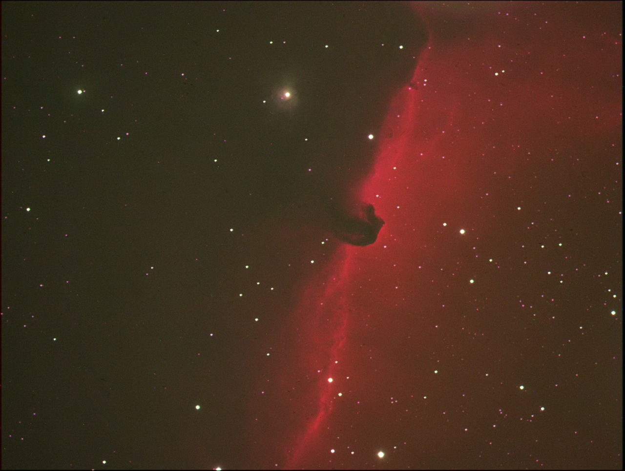 Horsehead Nebula - IC484 by Scott Jamieson 