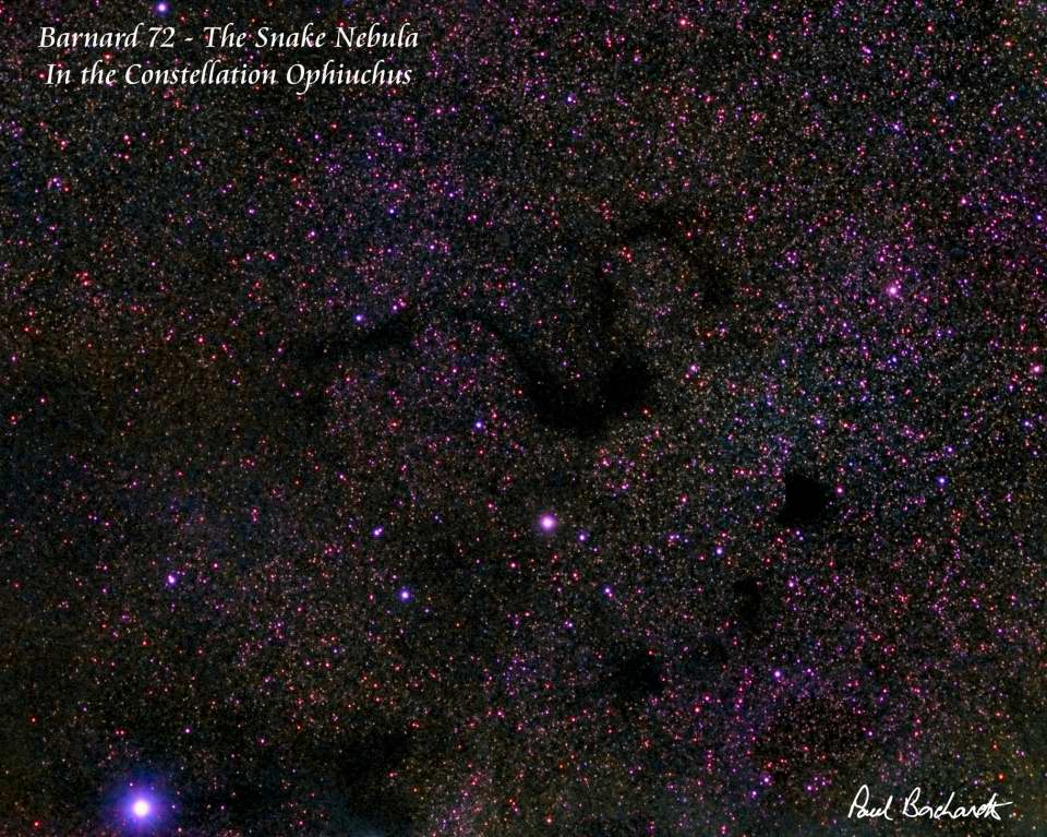 Barnard 72 - The Snake Nebula by Paul Borchardt 