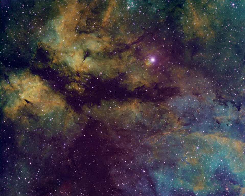 IC 1318 - The Butterfly Nebula