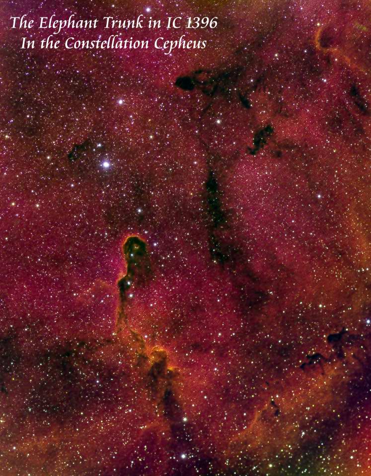 IC 1396 - 
		Elephant's Trunk Nebula  