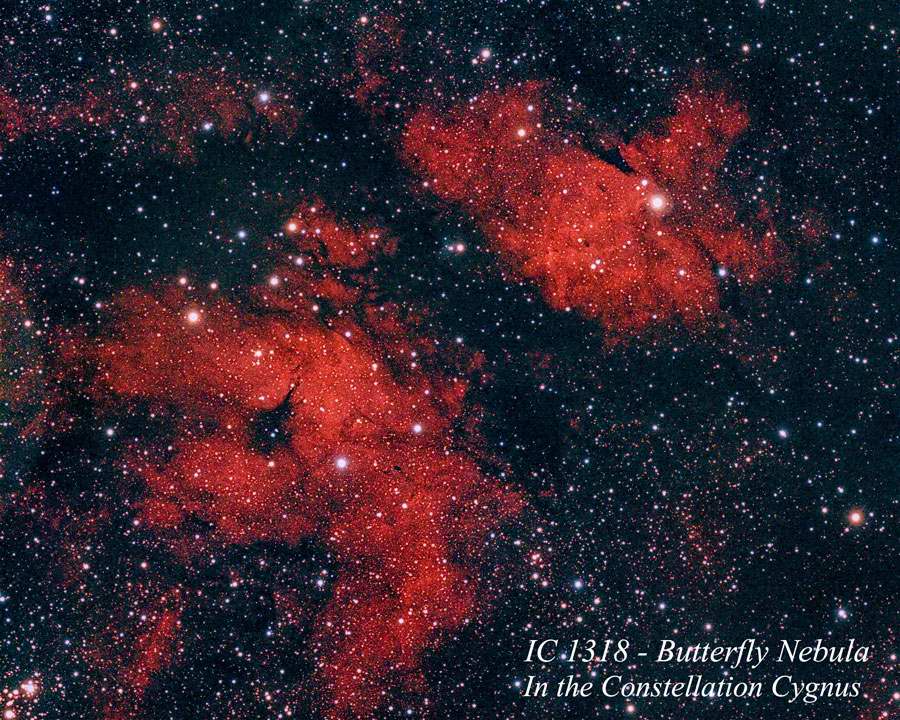 IC 1318 - Gamma Cygni Nebula   by Paul Borchardt 