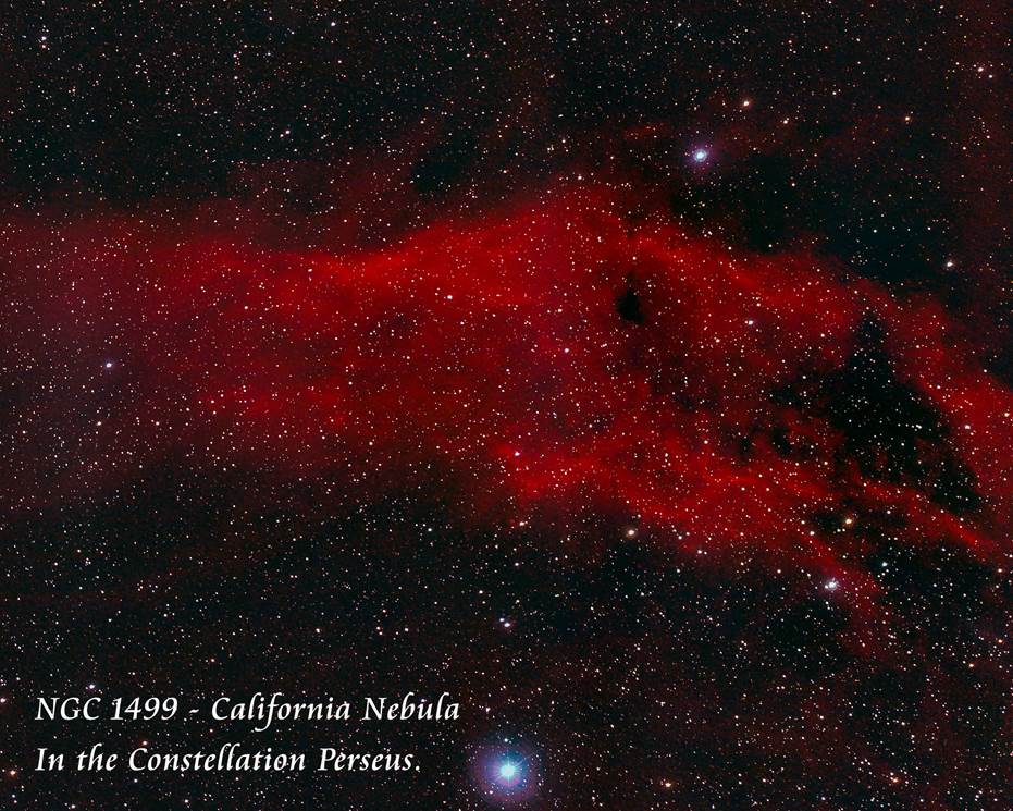 NGC 1499 - California Nebula by Paul Borchardt 