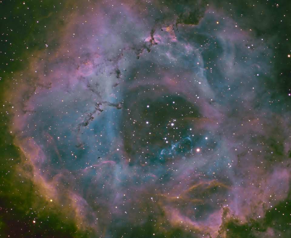 NGC 2237 - 
		Rosette Nebula