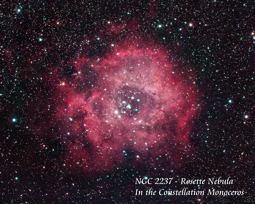 NGC 
		2237 - Rosette Nebula by Paul Borchardt 