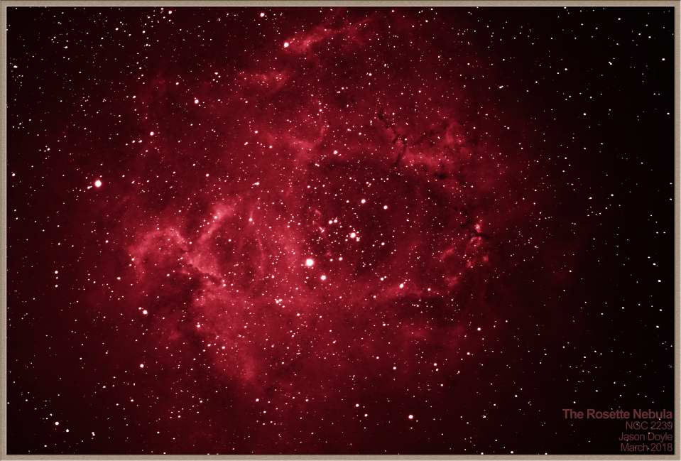 NGC 2239 - Rosette Nebula by Jason Doyle 