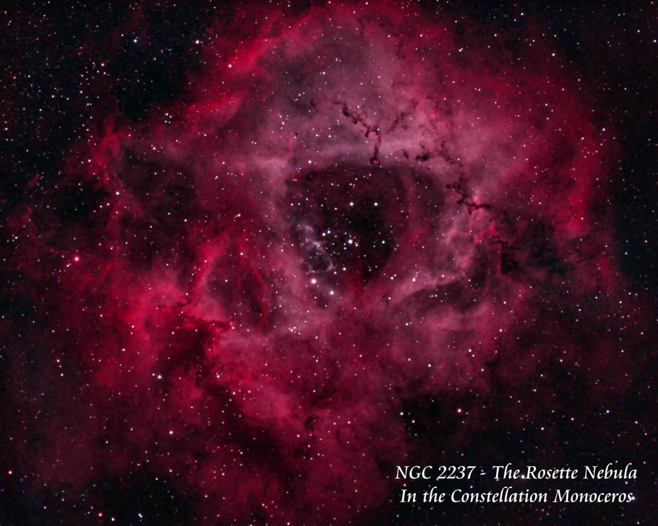 NGC 2237 - The Rosette Nebula by Paul Borchardt 