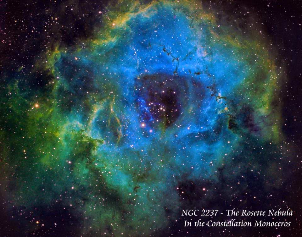 NGC 2237 - The Rosette Nebula by Paul Borchardt 