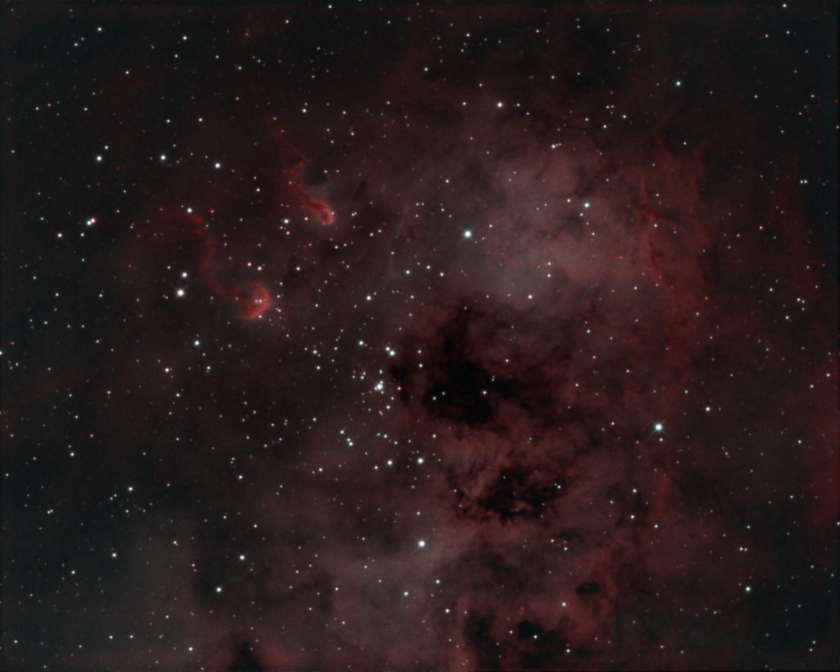 IC410 - Tadpole Nebula by Gabe Shaughnessy 