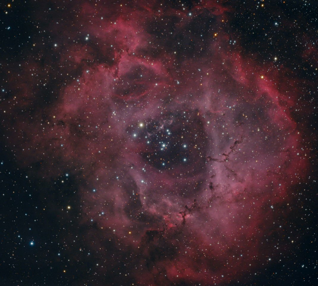 NGC 
		2237 - The Rosette Nebula by Gabe Shaughnessy 