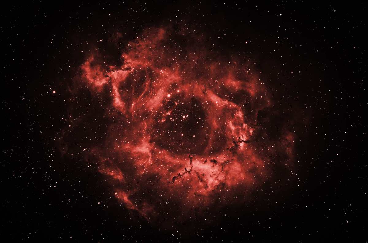 NGC 2239 - Rosette Nebula