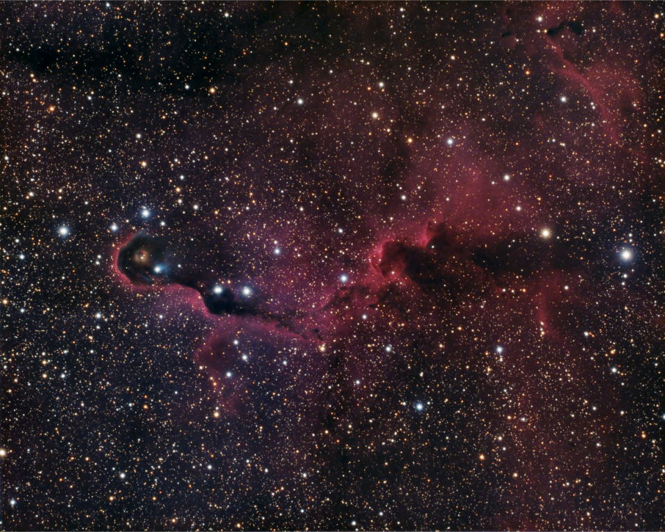 Elephant's Trunk Nebula - IC1396A by Gabe Shaughnessy 