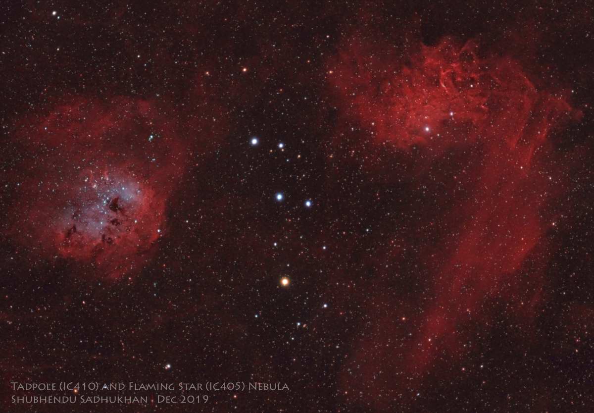 Tadpoles & Flaming Star Nebulas by Shubhendu Sadhukhan 