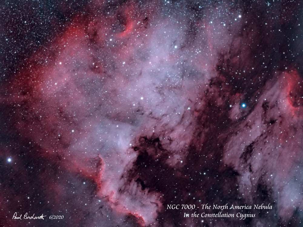 NGC 7000 & IC 5070 - The North America and Pelican Nebulae HOO by Paul Borchardt 