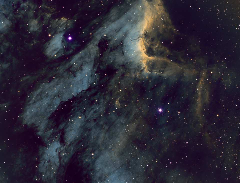 IC 5070 - Pelican Nebula by Dennis Roscoe 
