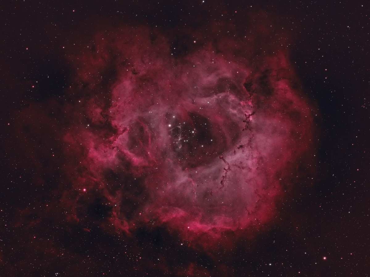 Rosette Nebula by Arun Hegde 