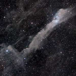 The Checkmark Nebula