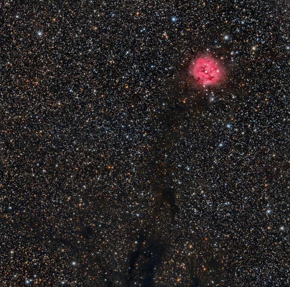 IC 5146 - Cocoon Nebula by Chad Andrist 