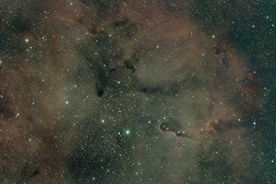 IC 1396 - The Elephant's Trunk Nebula by Jason Doyle 
