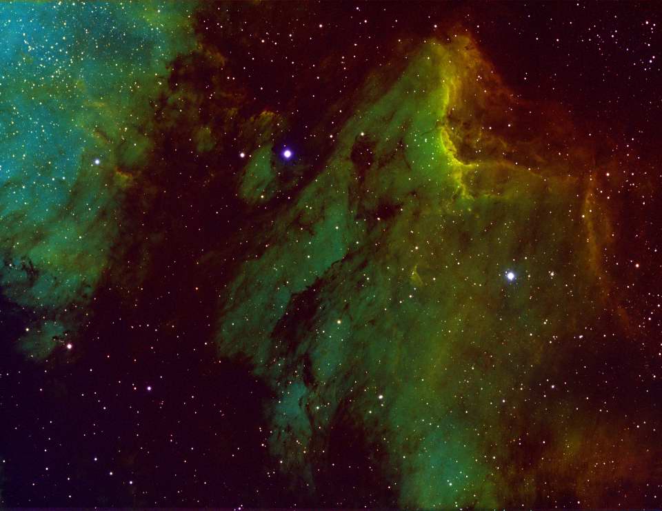 IC 5070 - Pelican Nebula by Guinevere Hicks 