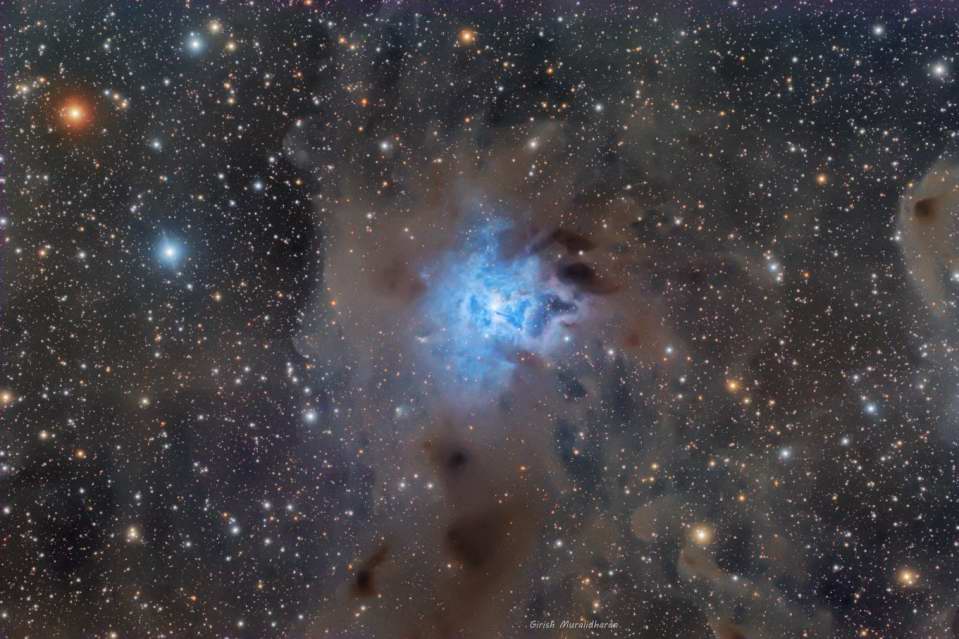 NGC 7023 - The Iris Nebula by Girish Muralidharan 
