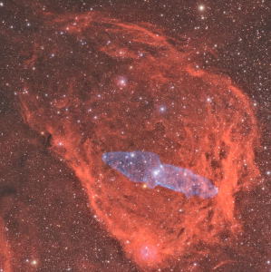 Sh2-129/ OU4, The Flying Bat and Squid Nebula