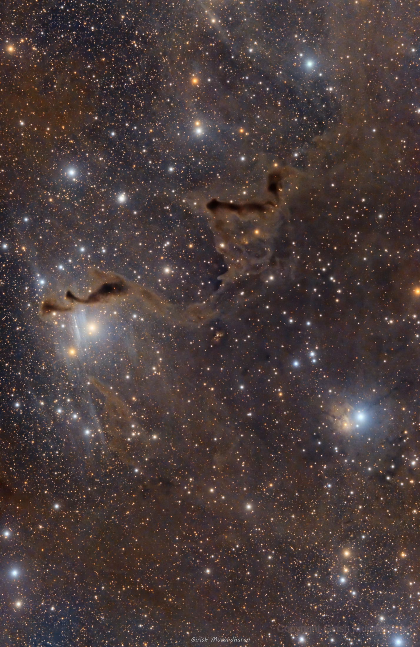 LDN1355 Helping Hands Nebula