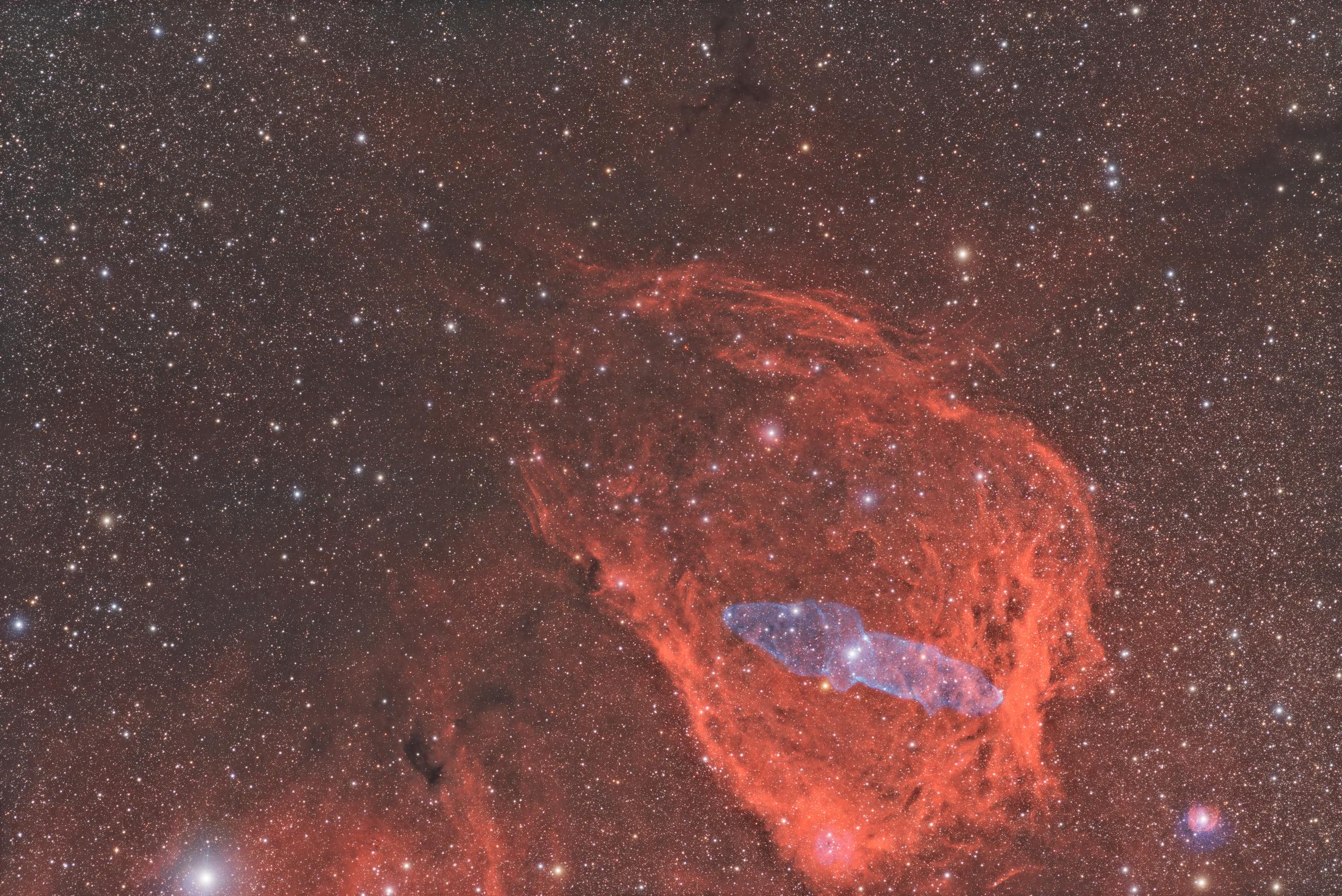Sh2-129/ OU4, The Flying Bat and Squid Nebula