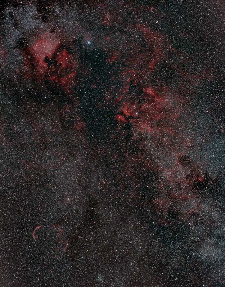 Cygnus Widefield by Paul Borchardt 