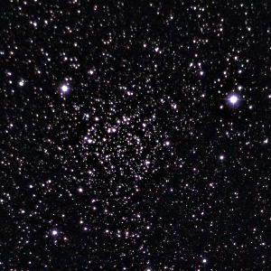 White Rose Star Cluster