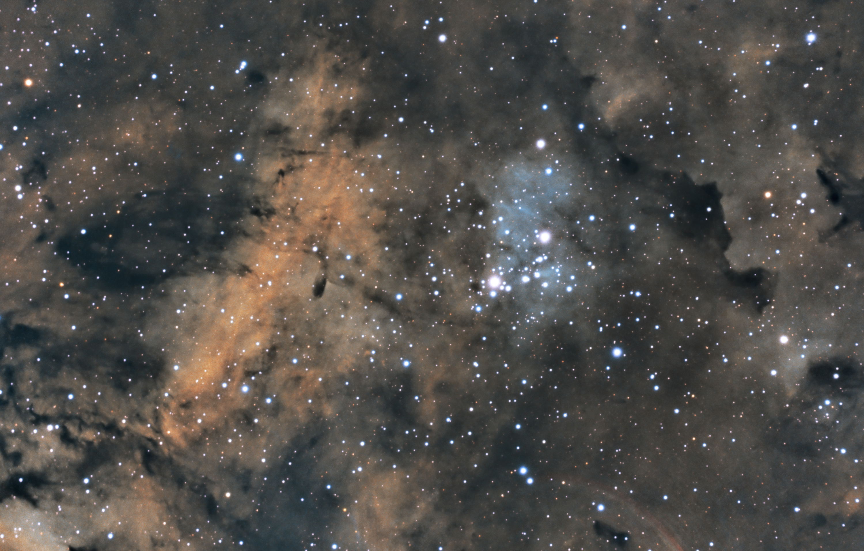 NGC 6910 and Surrounding Clouds of IC 1318 in Cygnus